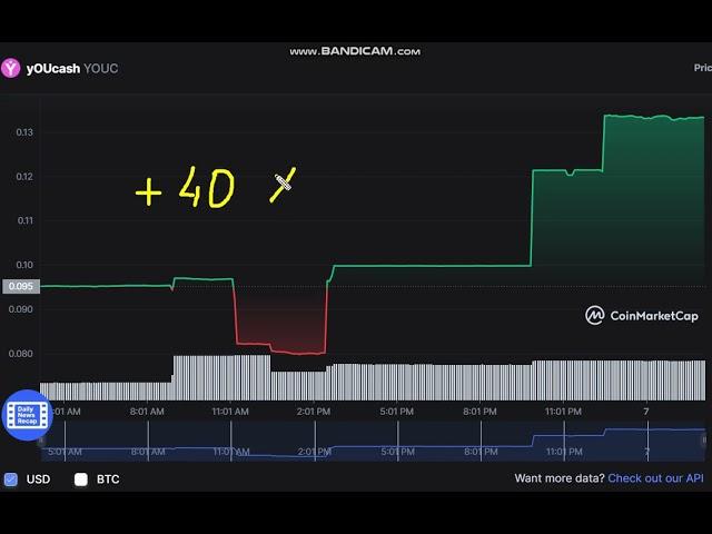 yOUcash   YOUC  -    yOUcash to USD Chart