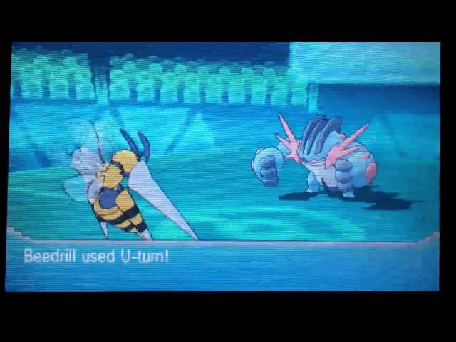 Pokemon ORAS Wifi Battle #1: Great new megas