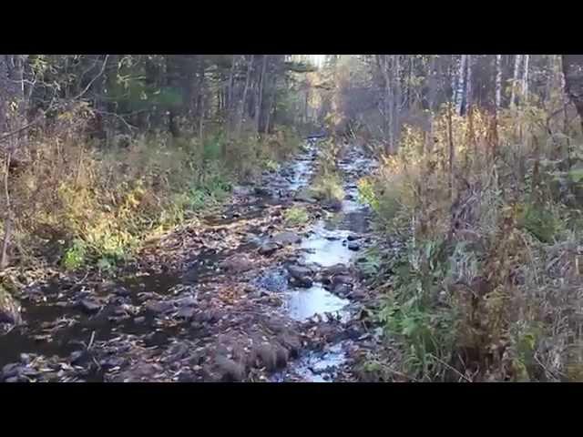 Осенний одиночный поход по избам, тайга, балаганы. Таежные реки, Карадат 30км. пути