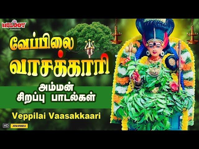 வெள்ளிக்கிழமை சிறப்பு அம்மன் பாடல்கள் | வேப்பிலை வாசக்காரி | Veppilai Vaasakkari | Amman Songs