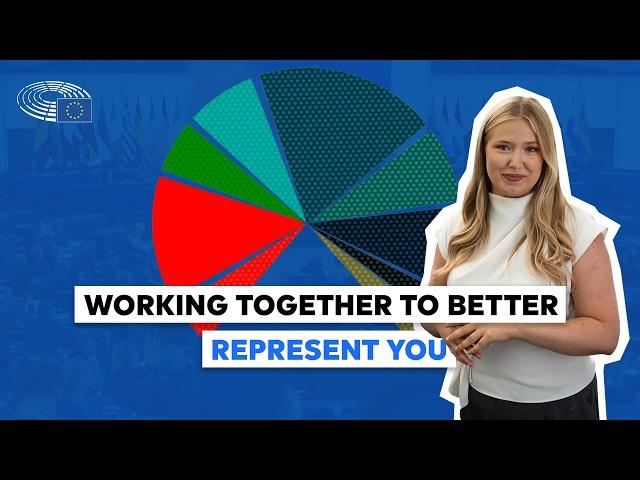 How political groups work in the European Parliament