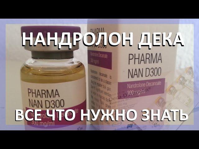 НАНДРОЛОН ДЕКА - ВСЕ ЧТО НУЖНО ЗНАТЬ