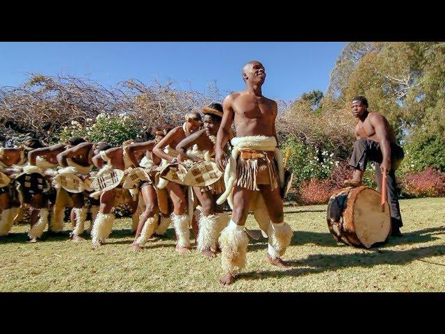 Zulu Dance Explosion: A Powerhouse of Tradition and Agility in Every Step 