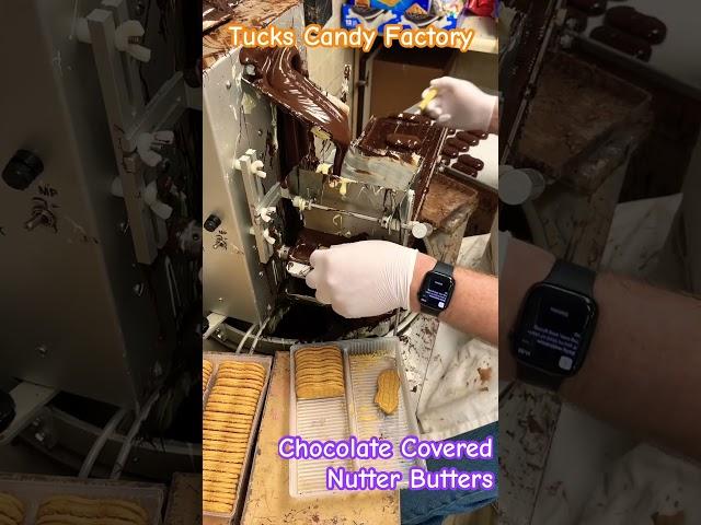Candy Man Dan is mixing it up the chocolate + peanut butter with Chocolate Covered Nutter Butters!