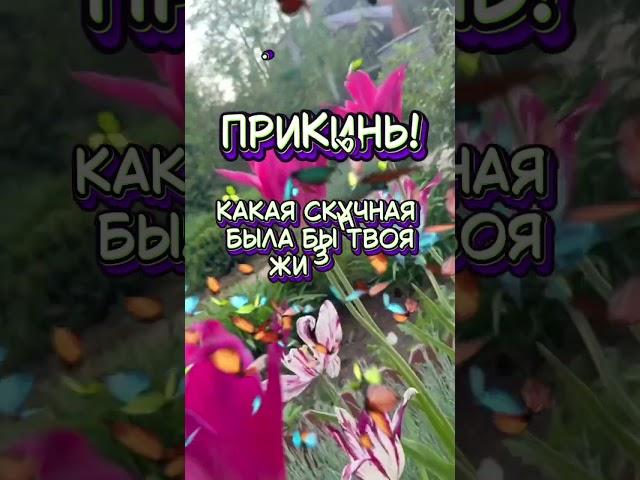 Прикинь!