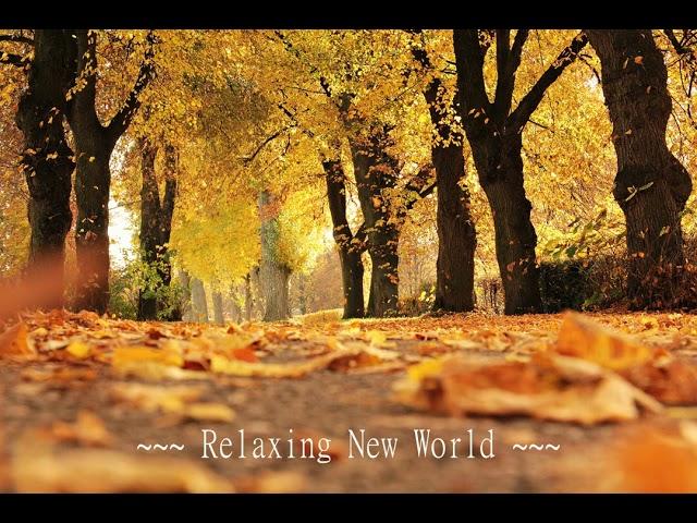 Eternal Bliss: Meditation Music for Deep Relaxation & Inner Harmony