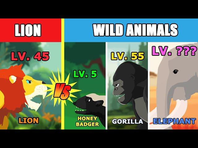 Lion vs Animals Level Challenge [S1] | Animal Animation