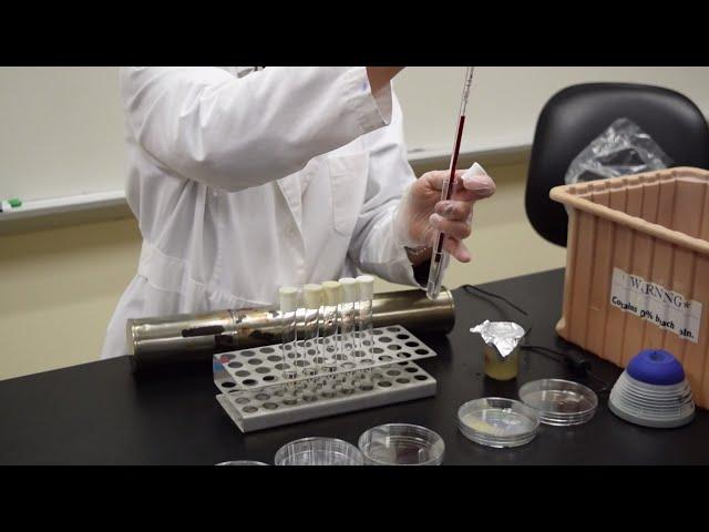 How to Do a Serial Dilution (9mL test tubes) - MCCC Microbiology