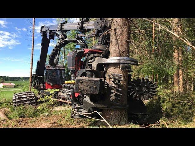 Amazing Big Cutting Tree Machine Working - Heavy Fastest Wood Cutting Machine