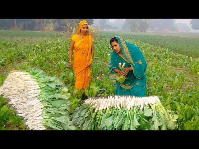 सुबह के भोजन में दाल चावल रोटी के साथ मूली की सब्जी खाने को मिल जाए तो मजा आजाए | Muli ki Sukhi Sabj