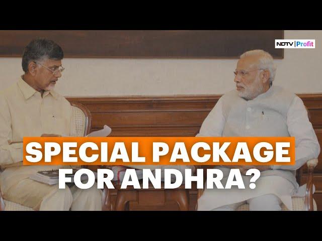 Budget 2024: Chandrababu Naidu To Seek 'Special Package' For Andhra Pradesh In Meet With NDA Leaders