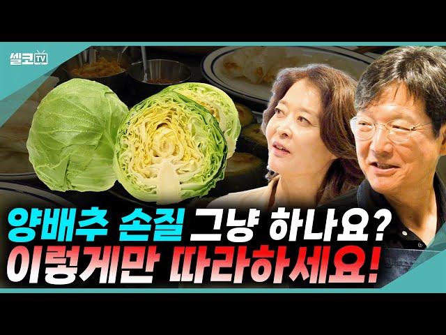 국산, 무농약 양배추로 만든 함익병식 특제 양배추 쌈밥! 맛의 비결은 00입니다 (함익병 + 강미형) #부부 #토크 #주부 #함익병 #강미형