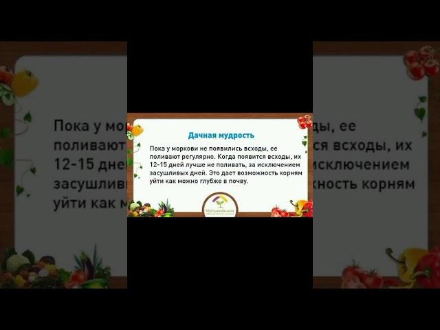 ДАЧНАЯ МУДРОСТЬ