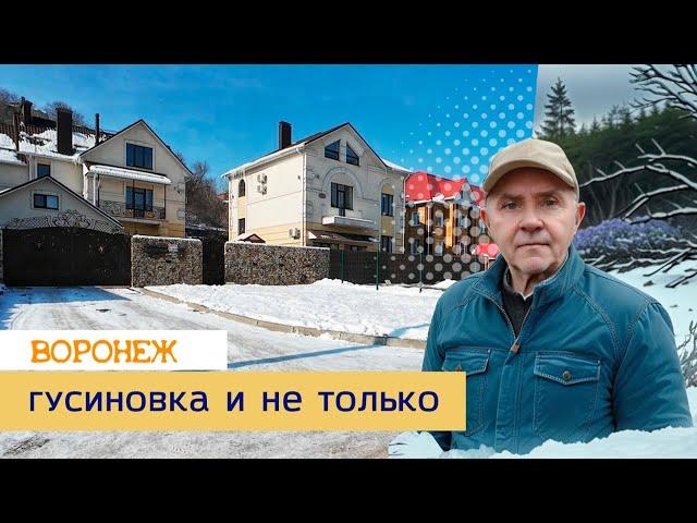 Гусиновка и не только, Воронеж 25 02 25г