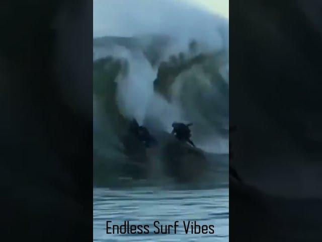 Kook Of The Day Funny Surfers Fails #surf #surfing #kooks  #funny #california #hawaii #kook #shorts