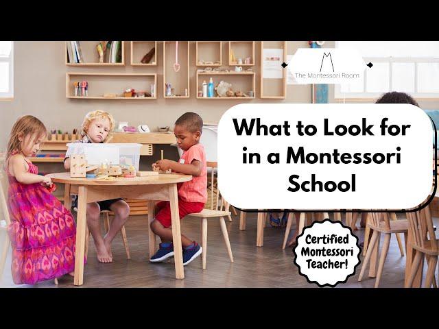 What to Look for in a Montessori School