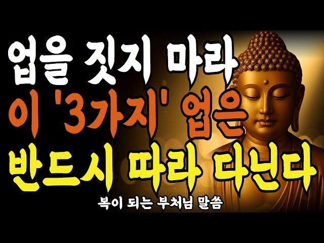 업을 짓지 마라 이 '3가지' 업은 반드시 이어진다ㅣ부처님 말씀ㅣ불교 명언ㅣ석가모니 가르침ㅣ운 트이는 방법