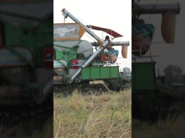 Big Kubota Having Rice Machine Work in Fields  #shorttractor #viralkubota #viralmachine #tractor