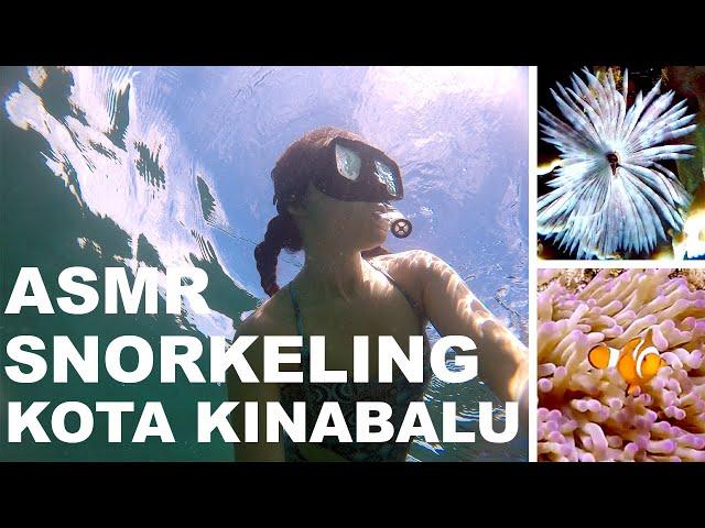 ASMR- Snorkel with me in Kota Kinabalu, Sabah  || jetsesther