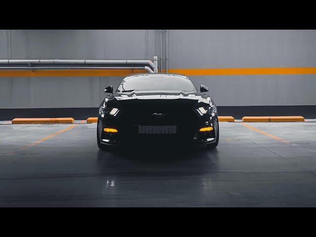 TAMING THE COYOTE | Mustang GT 5.0 short film.