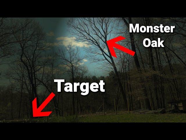 Hitting The Target With a 70' Oak