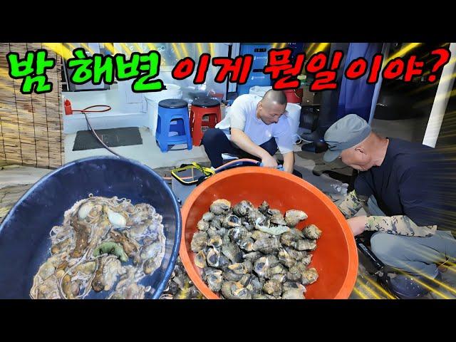 바다가 들썩들썩 일났다 일주일 식량을 주워온 날
