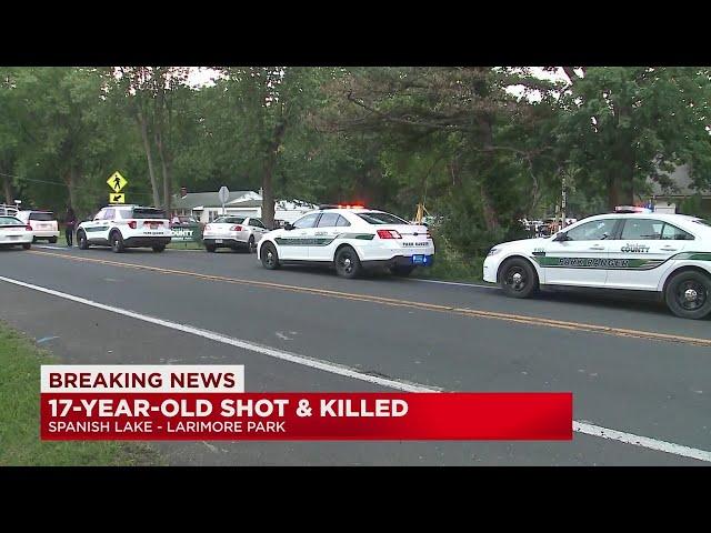 Teenager fatally shot at north St. Louis County park