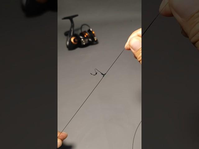 Bottom Fishing Rig: Expert Setup for Big Catches
