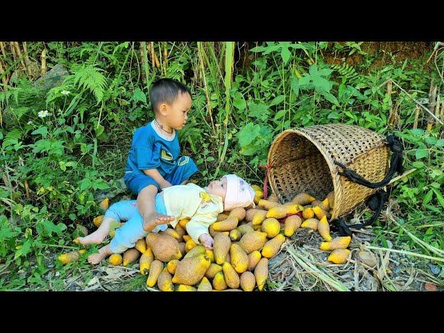 Harvesting natural fruits for sale - duck care - cooking | Build a farm