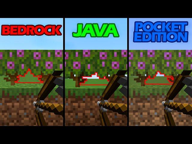 JAVA vs BEDROCK vs POCKET EDITION