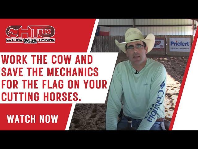 Work The Cow And Save The Mechanics For The Flag On Your Cutting Horses.