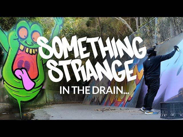 Something Strange In The Drain