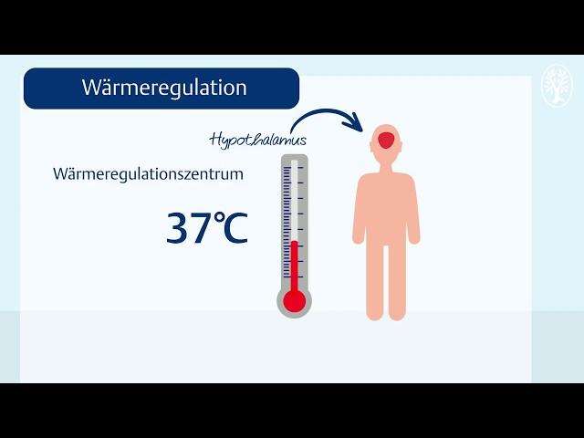 Die Körpertemperatur: Wärmeregulation