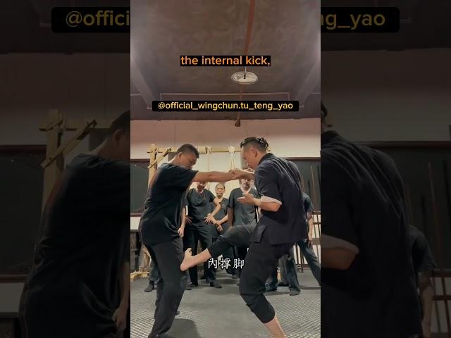 Wing Chun Footwork: Exploring the Three Types of Kicks - Master Tu Tengyao