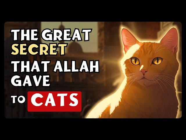 The Amazing MYSTERIES of CATS in Islam