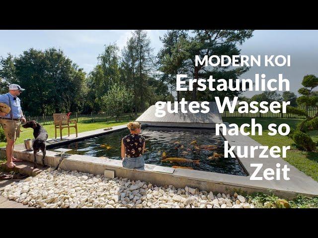 Eine Wasseranalyse an Sebastians Teich | Modern Koi Blog #7225