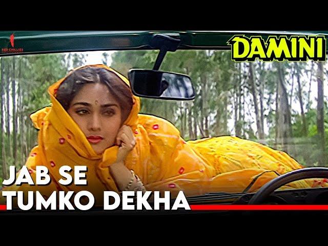 Jab Se Tumko Dekha | Damini | Full Song |  Kumar Sanu, Sadhana Sargam | Rishi Kapoor