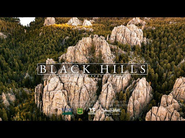 BLACK HILLS National Forest 8K South Dakota (Visually Stunning 3min Tour)