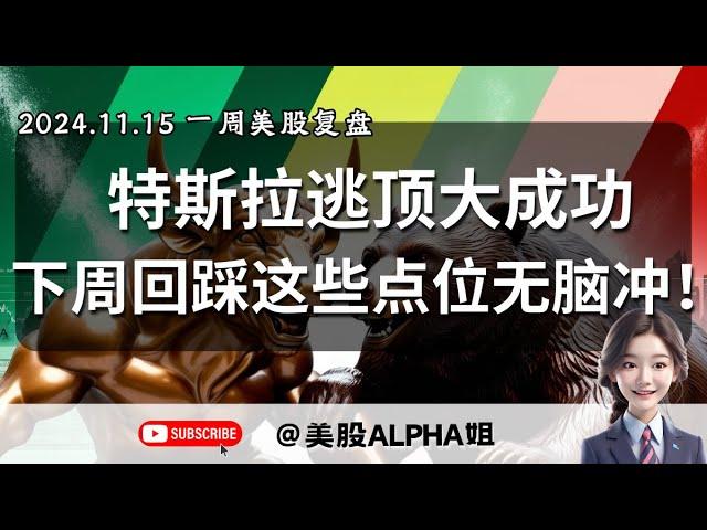 【美股Alpha姐】2024.11.15 一周美股复盘｜特斯拉逃顶成功，支撑位又被拉起，下周遇到这些点位要无脑冲！？｜美股熊出没，这次回调会有多深？圣诞Rally还会来吗？