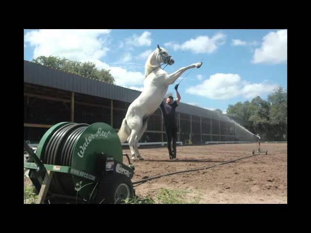 Water Horse Arena; Matt McLaughlin on using the Water-Reel to Water Horse Arena