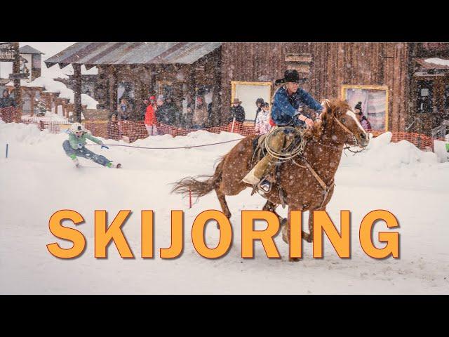 Skijoring: Skiers versus Cowboys.