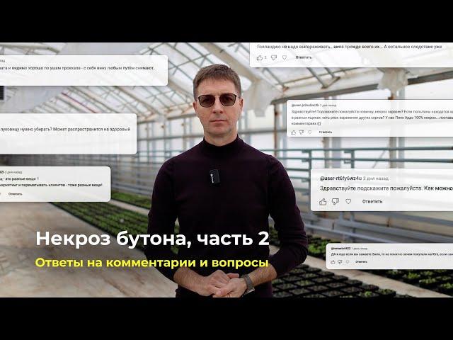 Некроз бутона, часть 2 | Ответы на комментарии и вопросы