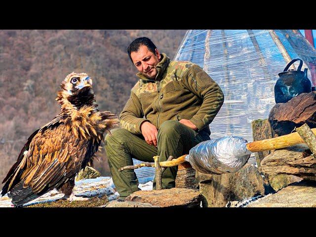 A Real Caucasian Eagle Flew To Us To Have Lunch Together