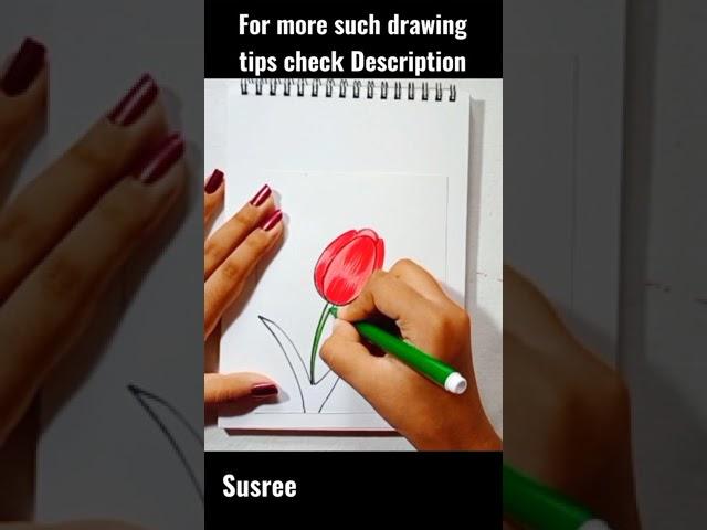 colored pencil tutorial #Shorts