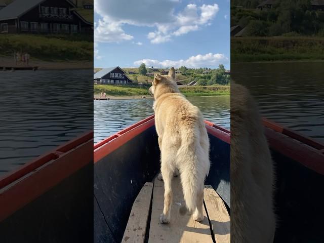 ЖДЁМ ЛЕТА В ПЕРМСКОМ КРАЕ, А ВПЕРЕДИ ЕЩЕ ВЕСНА 