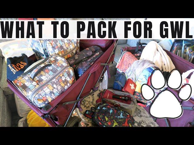 WHAT TO BRING TO GREAT WOLF LODGE | PACKING FOR FAMILY | BUDGET VACATION | JORDAN BUDGETS