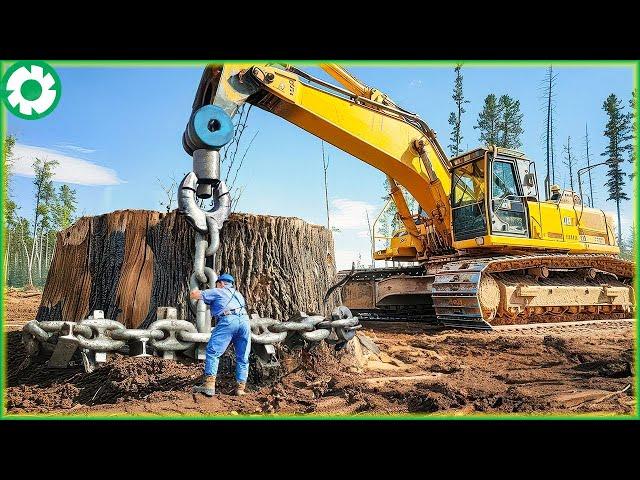 Most Extreme Dangerous Fastest Big Chainsaw Cutting Tree Machines | Best of Week