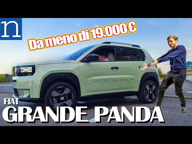 Fiat GRANDE PANDA | La prima del segmento B ibrida da meno di 19.000 € o elettrica a 25.000