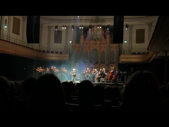 The Tallest Man On Earth ft. Amsterdam Sinfonietta - Sagres, PHIL Haarlem 2024