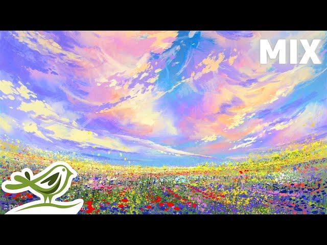 Relax in a Field of Flowers With Peaceful Music